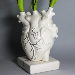 CUORE ANATOMICO A VASO